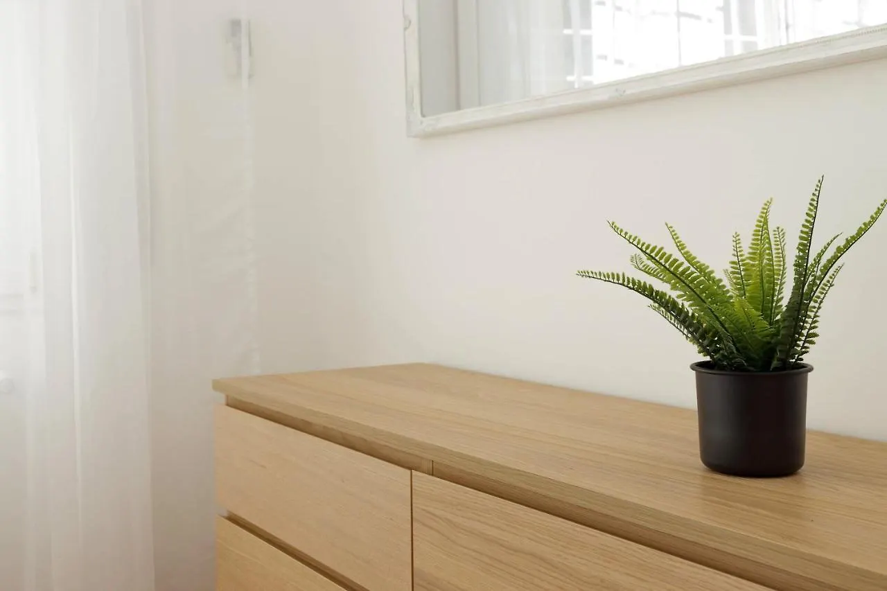 Zucchi Rooms Rom